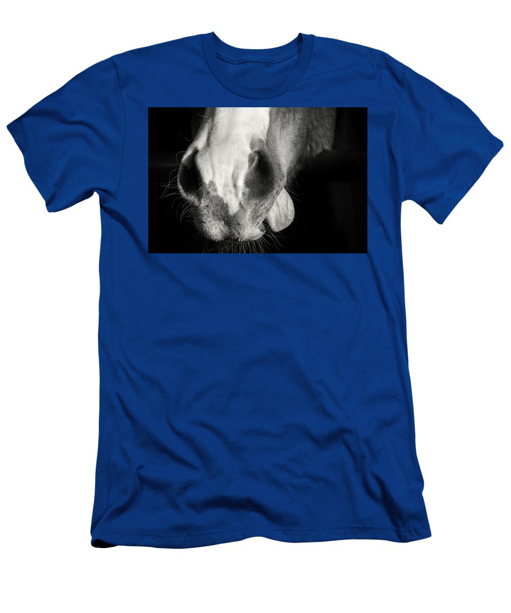 Horse Mouth Stephanie Mcdowell T-Shirt