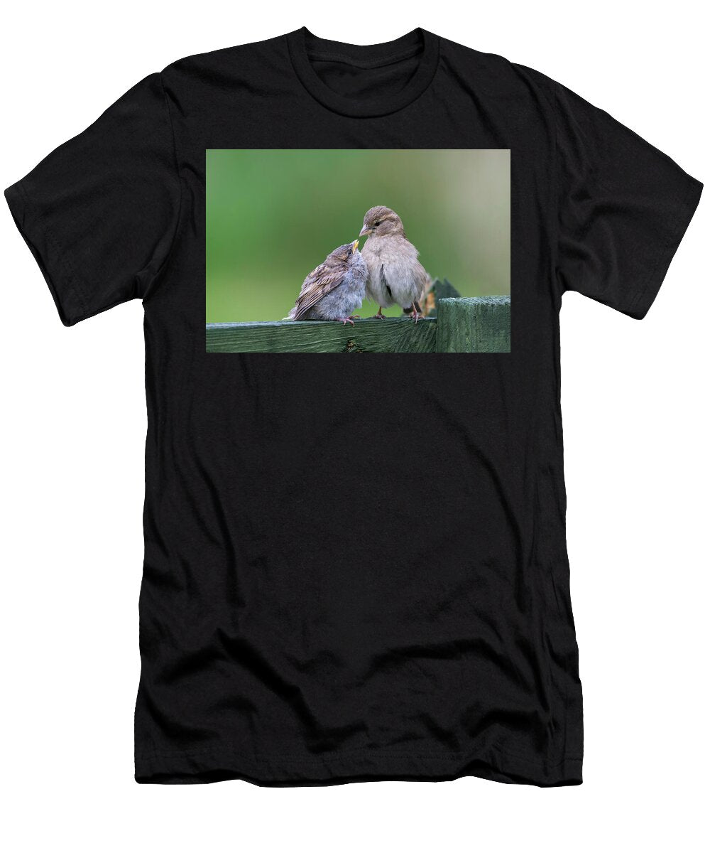 House Sparrow Female Feeding Fledgling Northumberland Ann Steve Toon Natureplcom T-Shirt