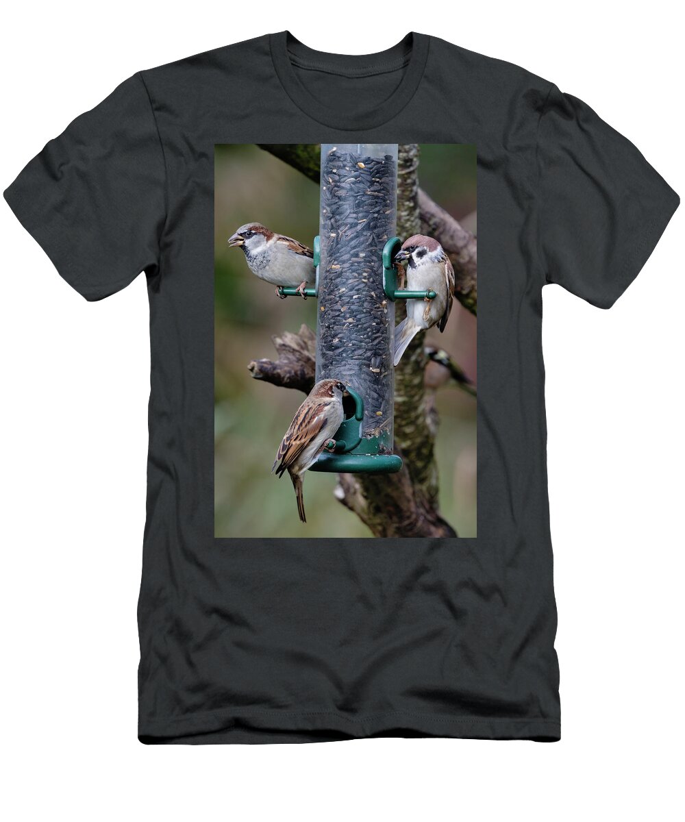 House Sparrows and Tree Sparrow Caerlaverock Wwt Dumfries Ann Steve Toon Natureplcom T-Shirt
