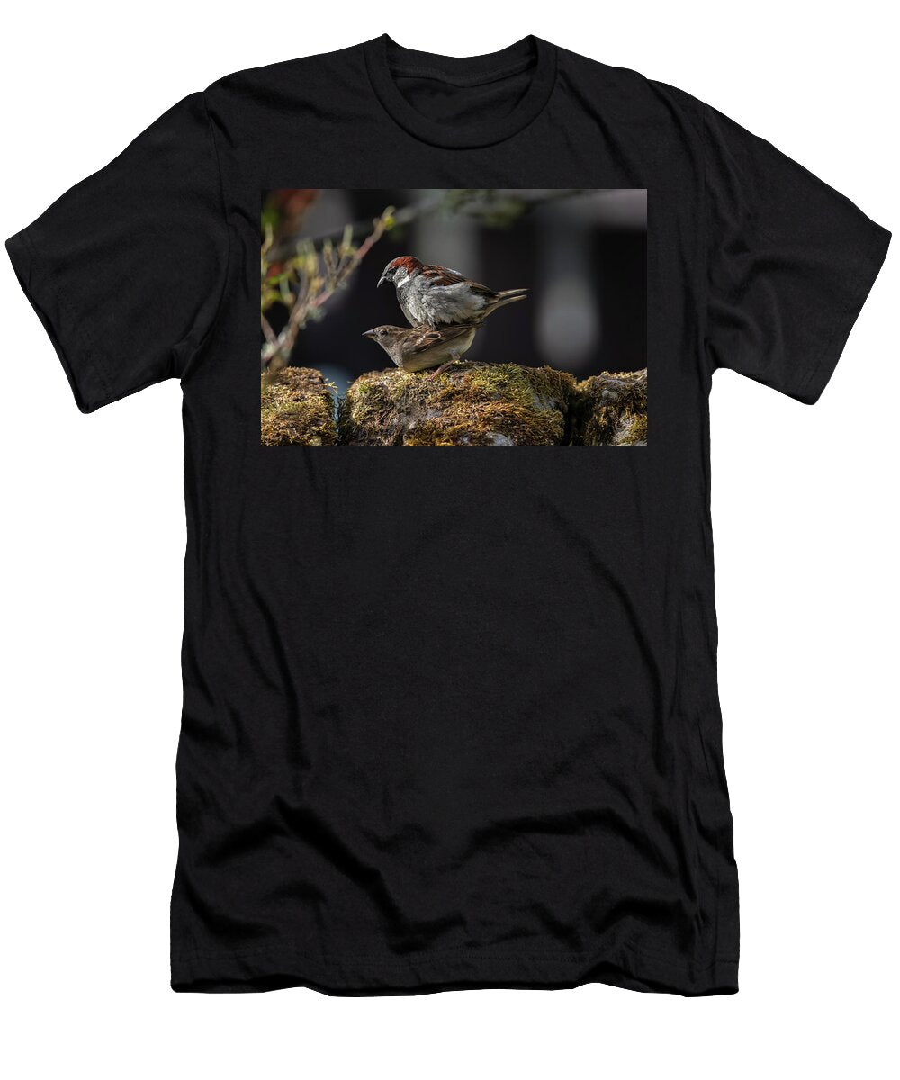 House Sparrows Mating Northumberland National Park UK Ann Steve Toon Natureplcom T-Shirt
