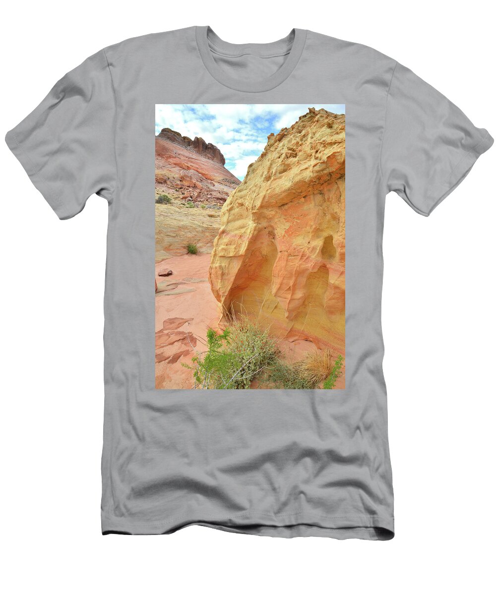 Huge Gold Nugget in Wash 3 Valley of Fire Ray Mathis T-Shirt
