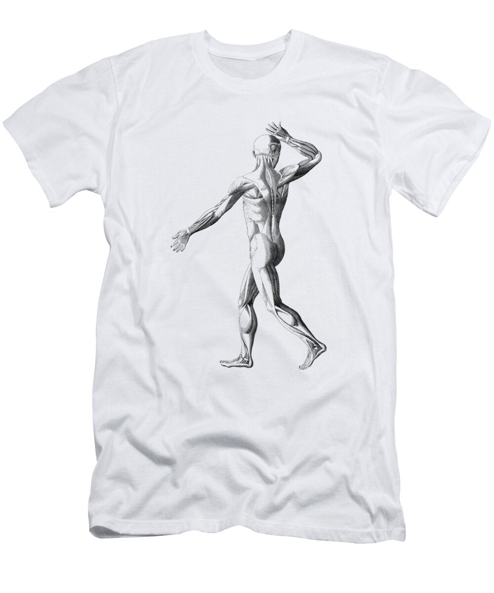 Human Muscular System Artistic View Vintage Anatomy Print Vintage Anatomy Prints T-Shirt