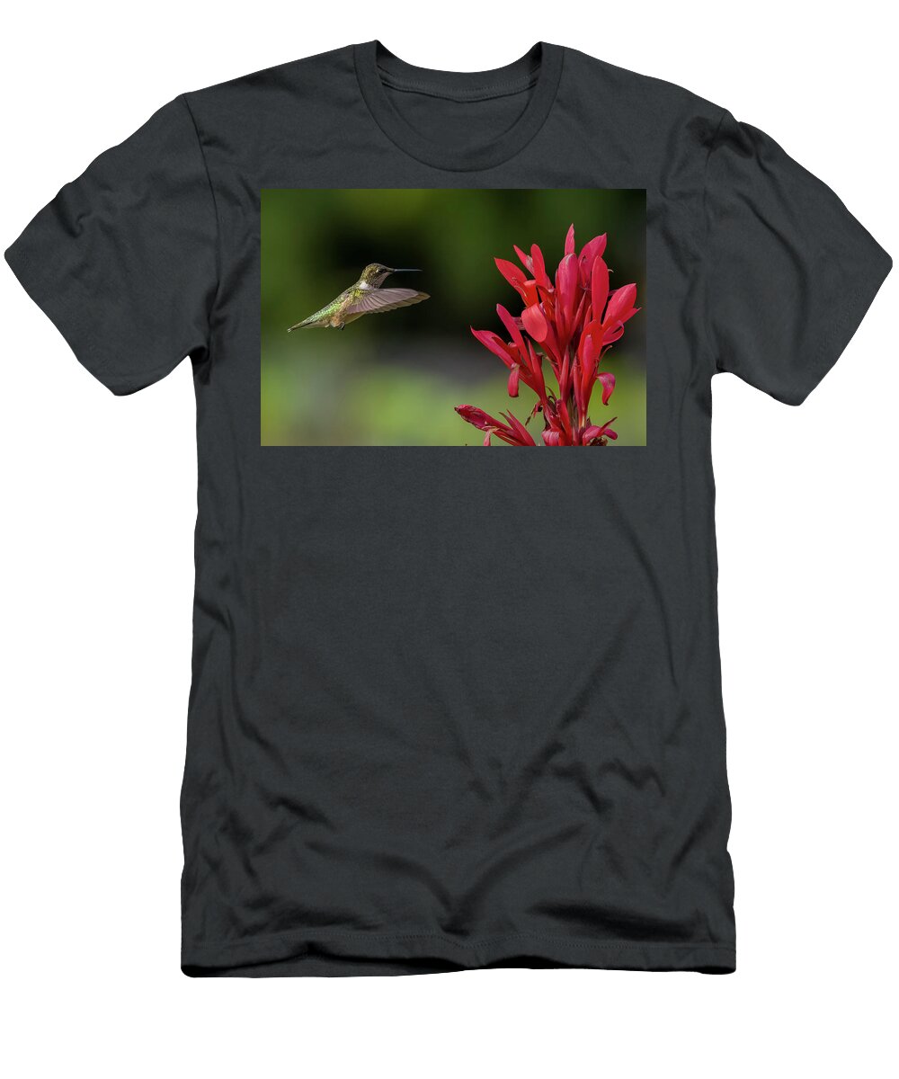 Hummingbird Hovers Vibrant Canna Lily Lenin Ramachandran T-Shirt
