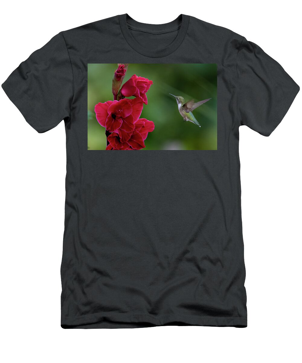 Hummingbird Mesmerized By Beautiful Canna Lily Lenin Ramachandran T-Shirt