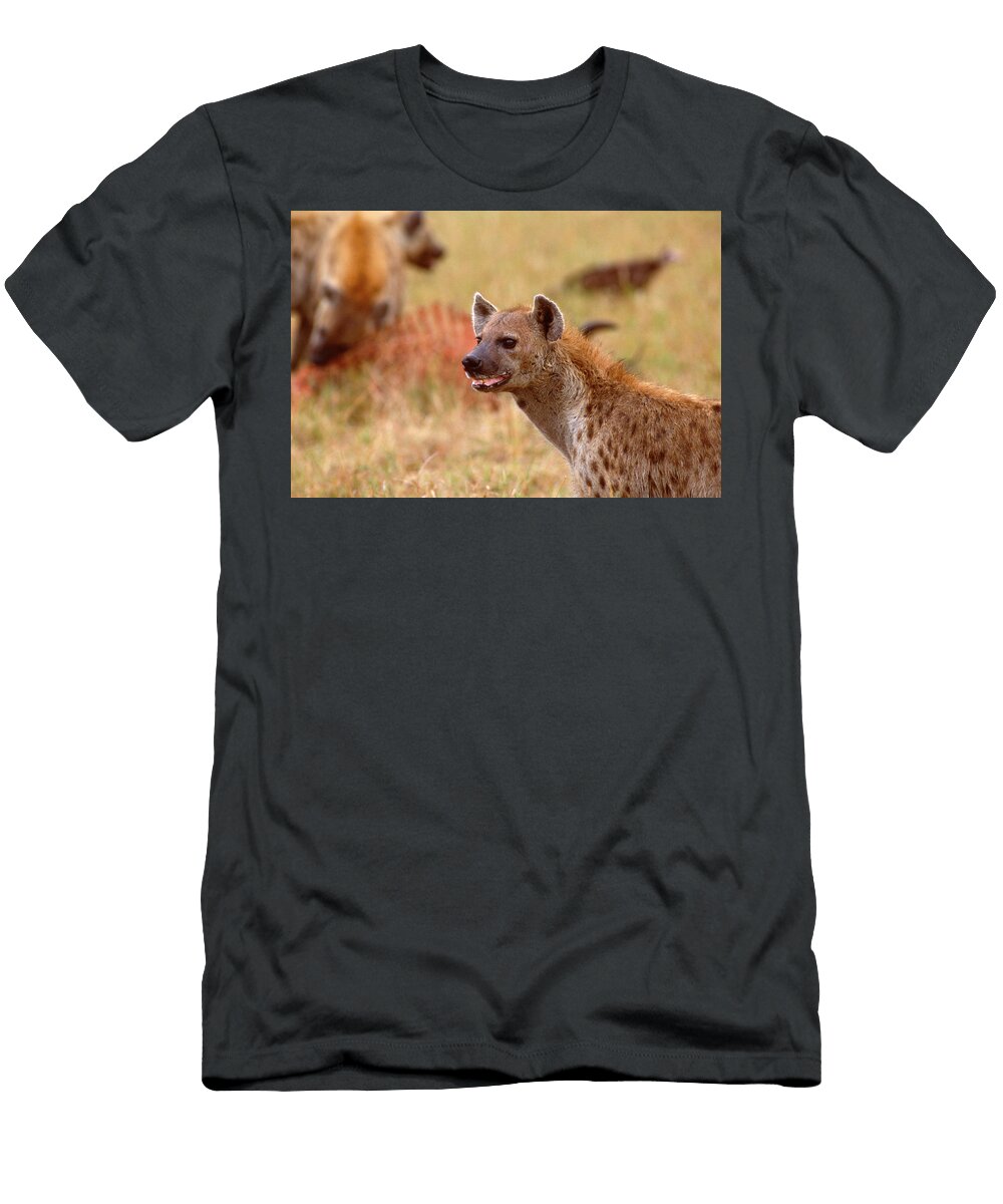 Hyena At Wildebeest Kill 2 Maasai Mara Kenya Ross Warner T-Shirt
