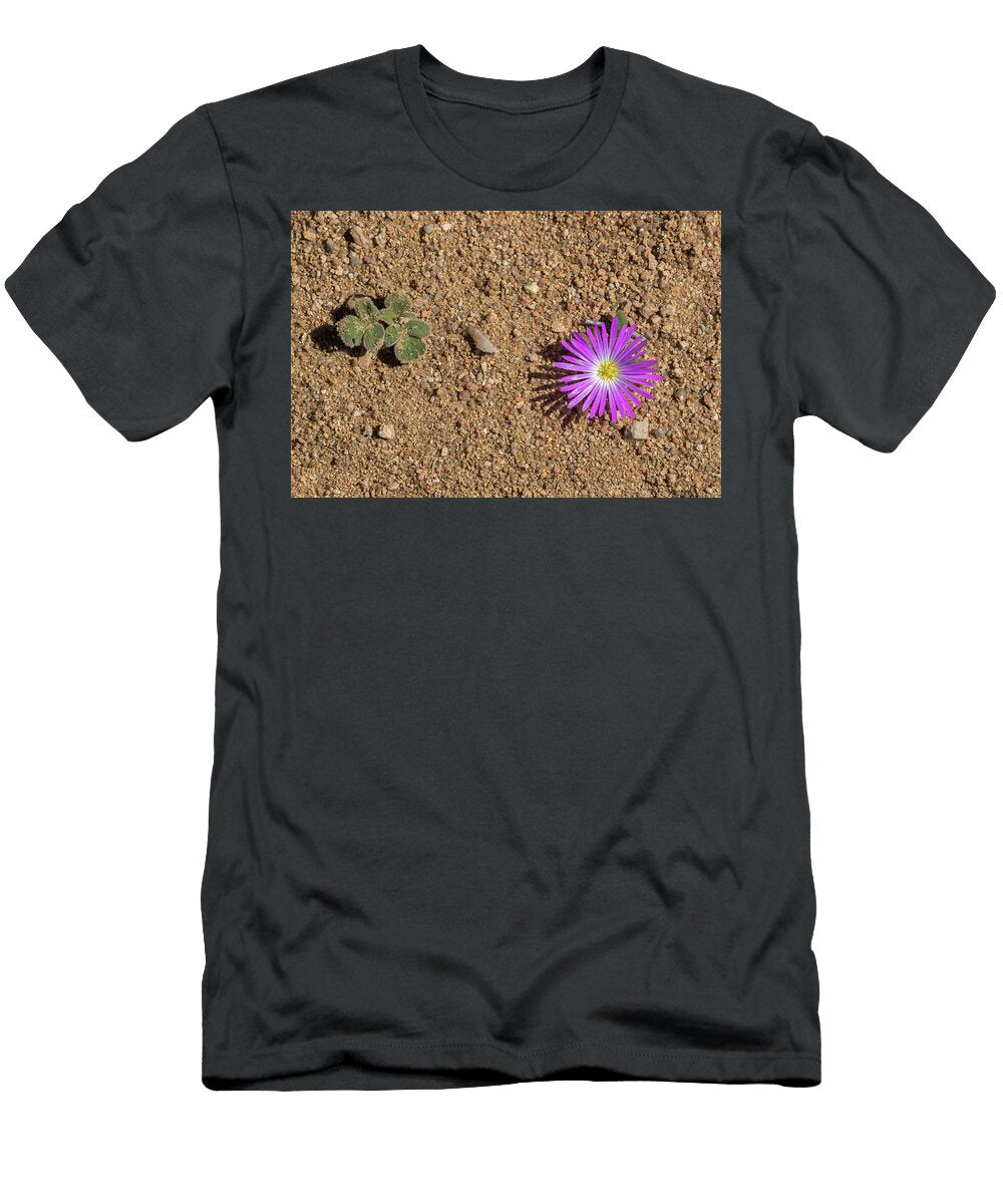 Ice Plant Namaqua National Park Northern Cape South Ann Steve Toon Natureplcom T-Shirt