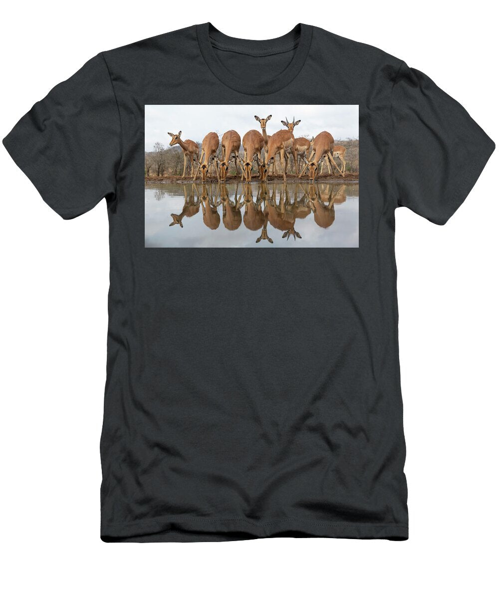Impala At Water with Reflections Zimanga Game Reserve Ann Steve Toon Natureplcom T-Shirt