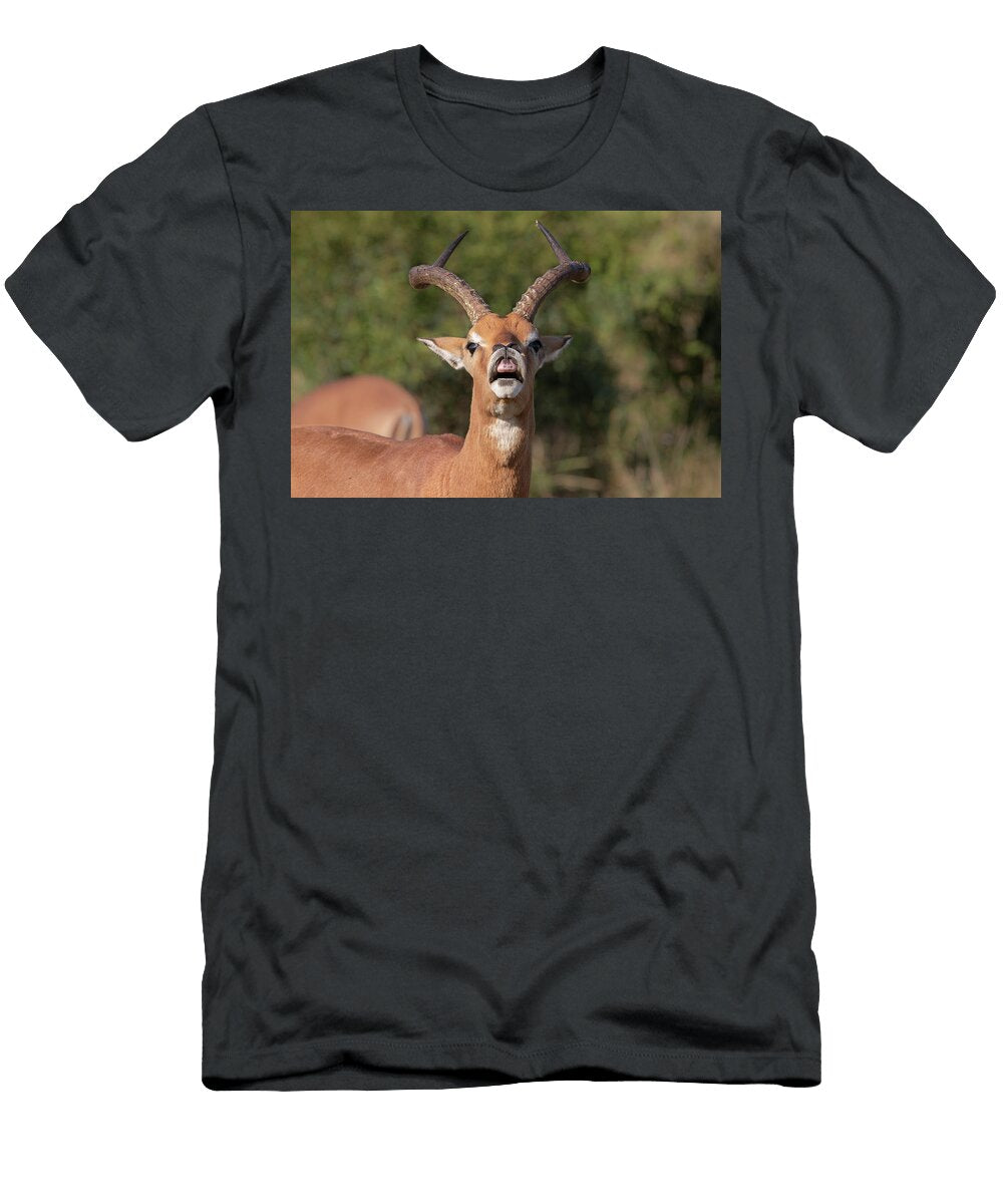 Impala Ram Exhibiting Flehmen Response Imfolozi Game Ann Steve Toon Natureplcom T-Shirt