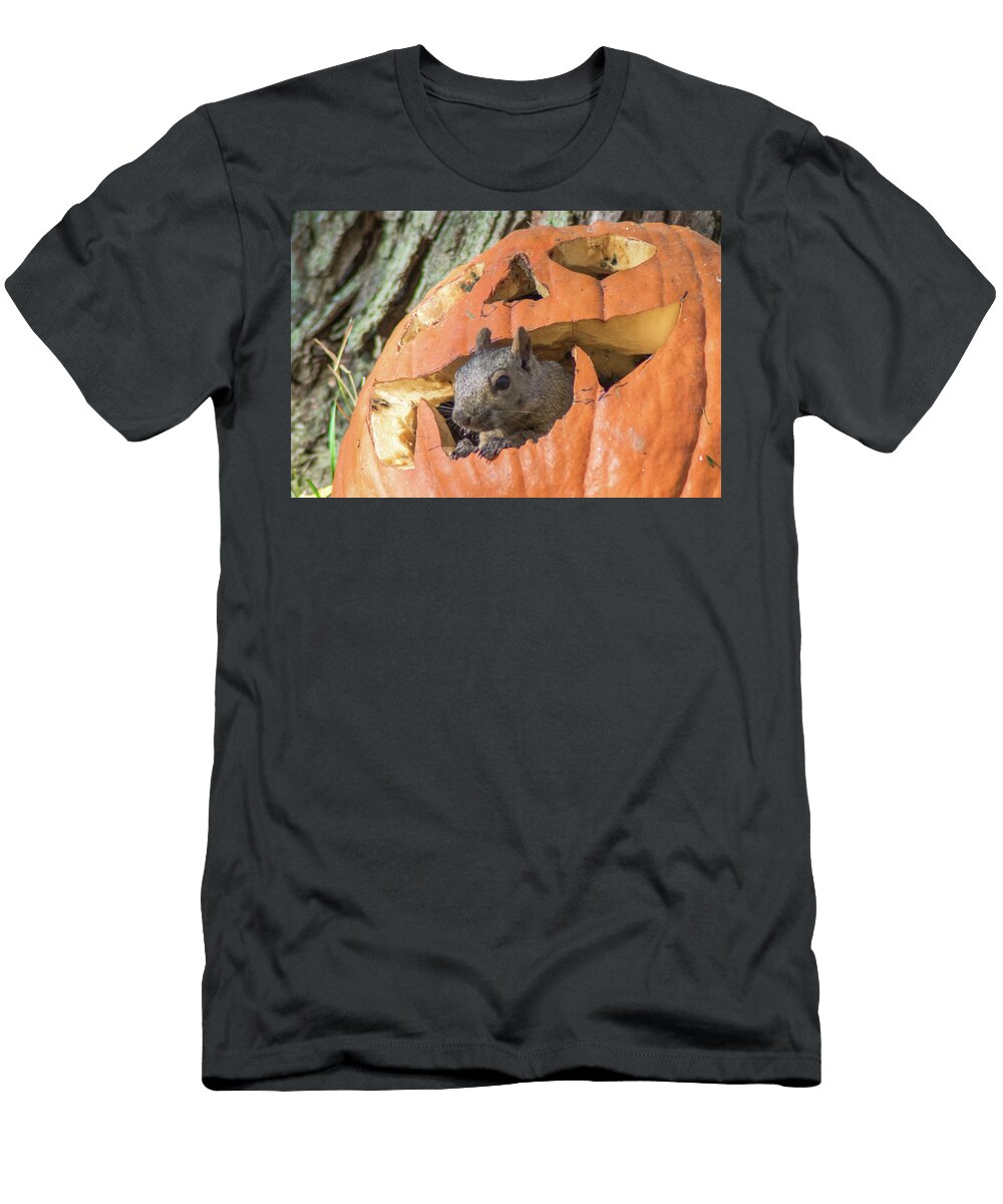 Its Pumpkin Time Brandon Schultz T-Shirt