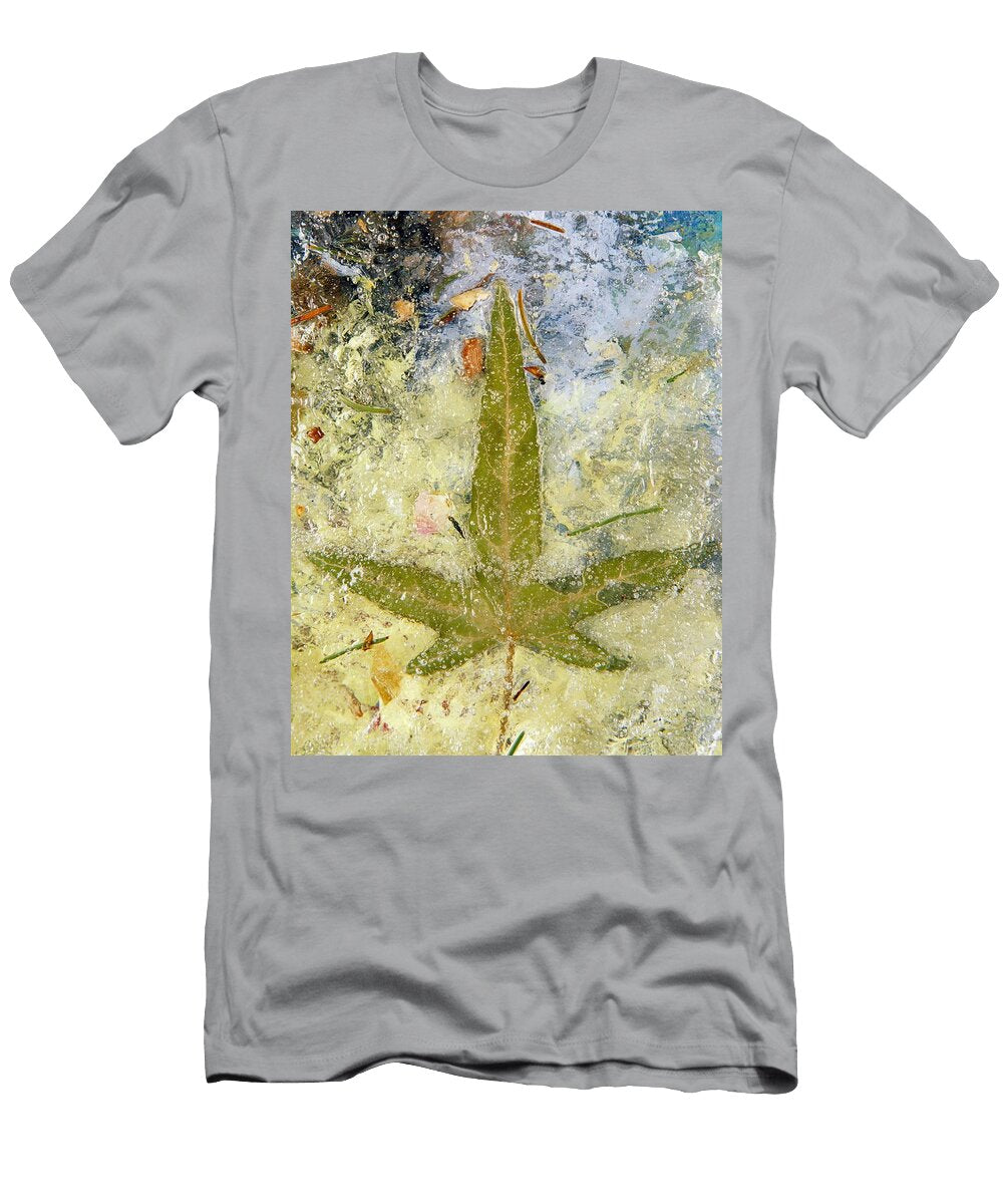 Ivy Leaf in Ice Lando Pescatori T-Shirt