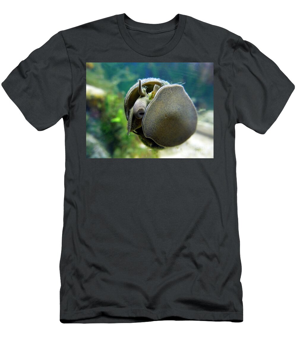 Japanese Trapdoor Snail Renee Trenholm T-Shirt