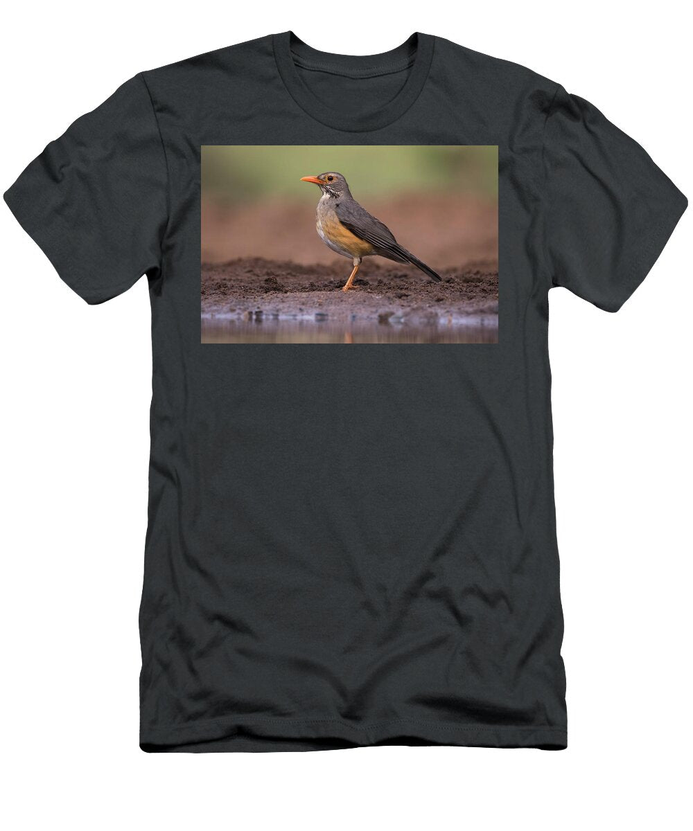 Kurrichane Thrush Zimanga Private Game Reserve Ann Steve Toon Natureplcom T-Shirt