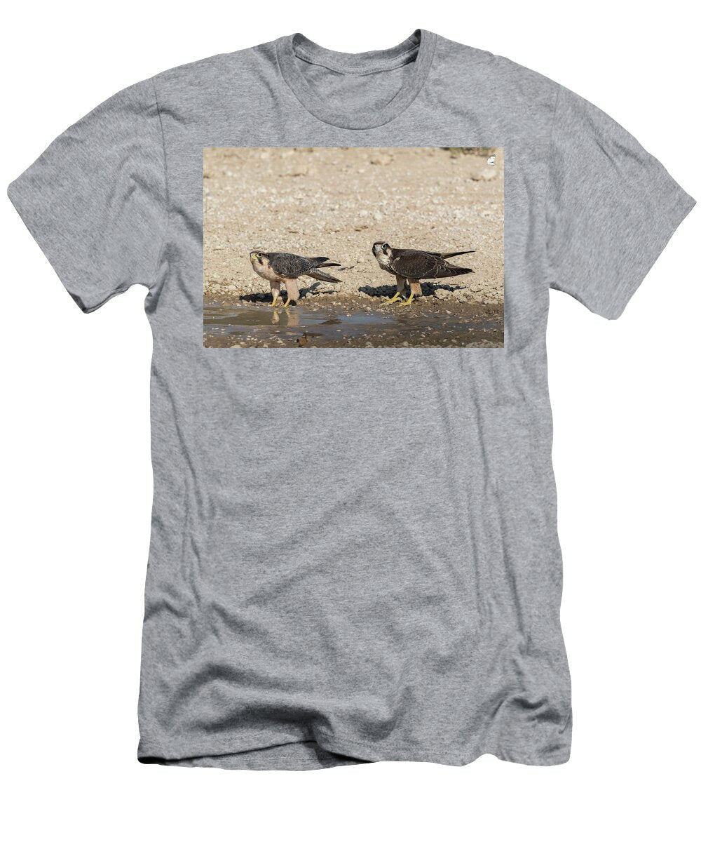 Lanner Falcon Adult and Immature At Water Kgalagadi Ann Steve Toon Natureplcom T-Shirt