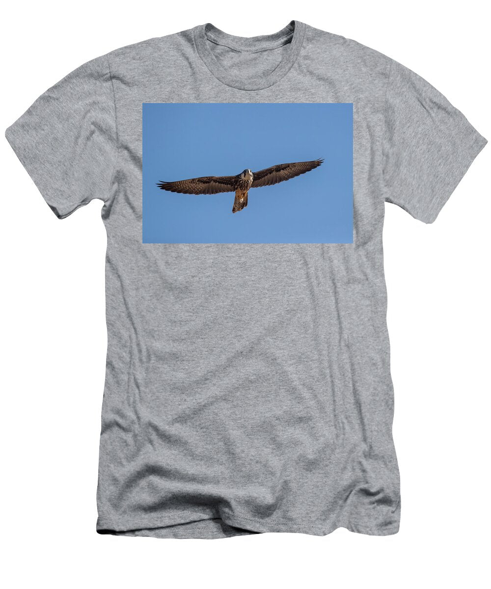 Lanner Falcon Immature in Flight Kgalagadi Transfrontier Ann Steve Toon Natureplcom T-Shirt