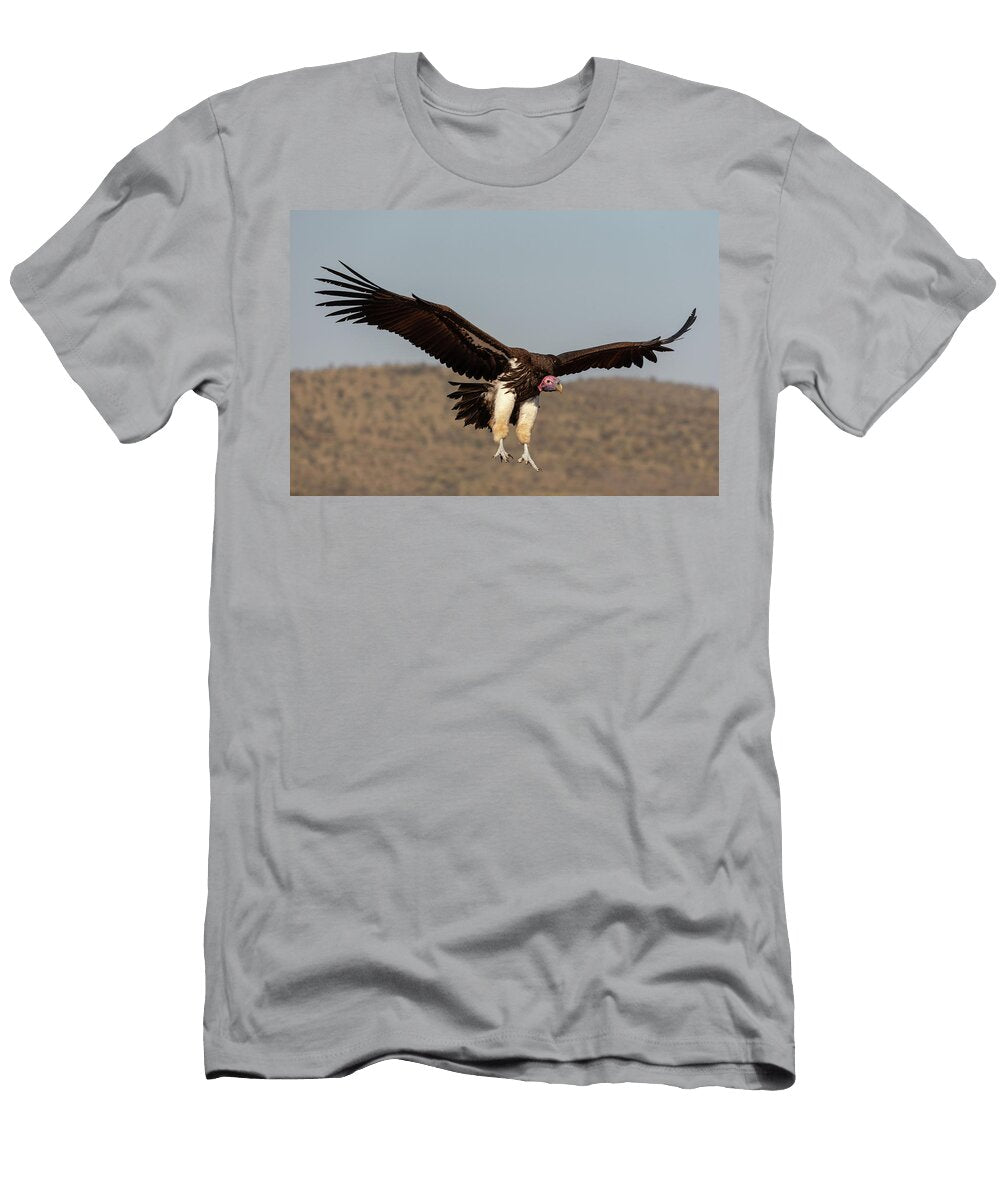 Lappetfaced Vulture Landing Wings Spread Zimanga Private Ann Steve Toon Natureplcom T-Shirt