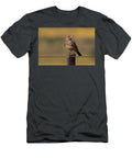 Large Billed Lark Western Cape South Ann Steve Toon Natureplcom T-Shirt