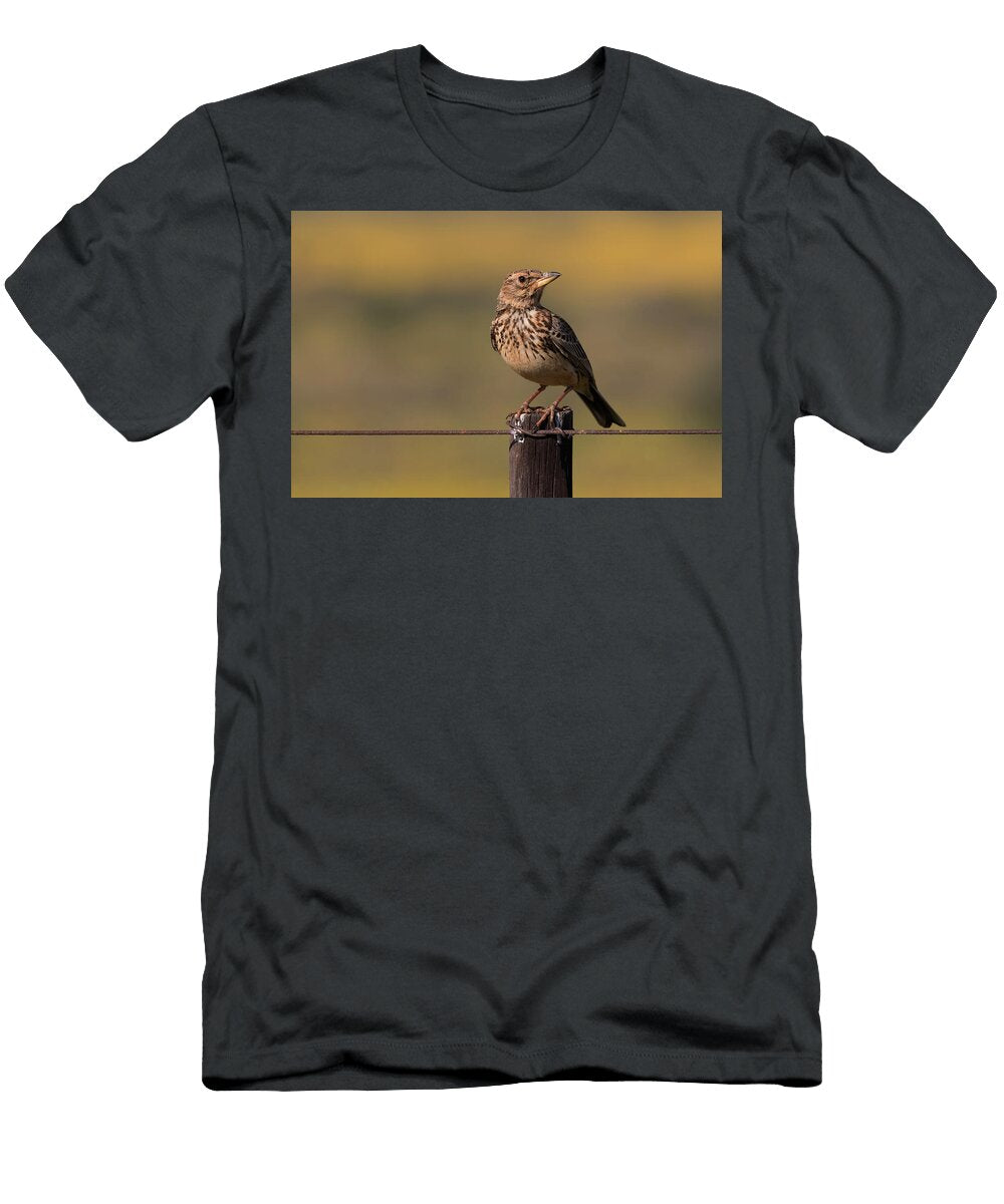 Large Billed Lark Western Cape South Ann Steve Toon Natureplcom T-Shirt