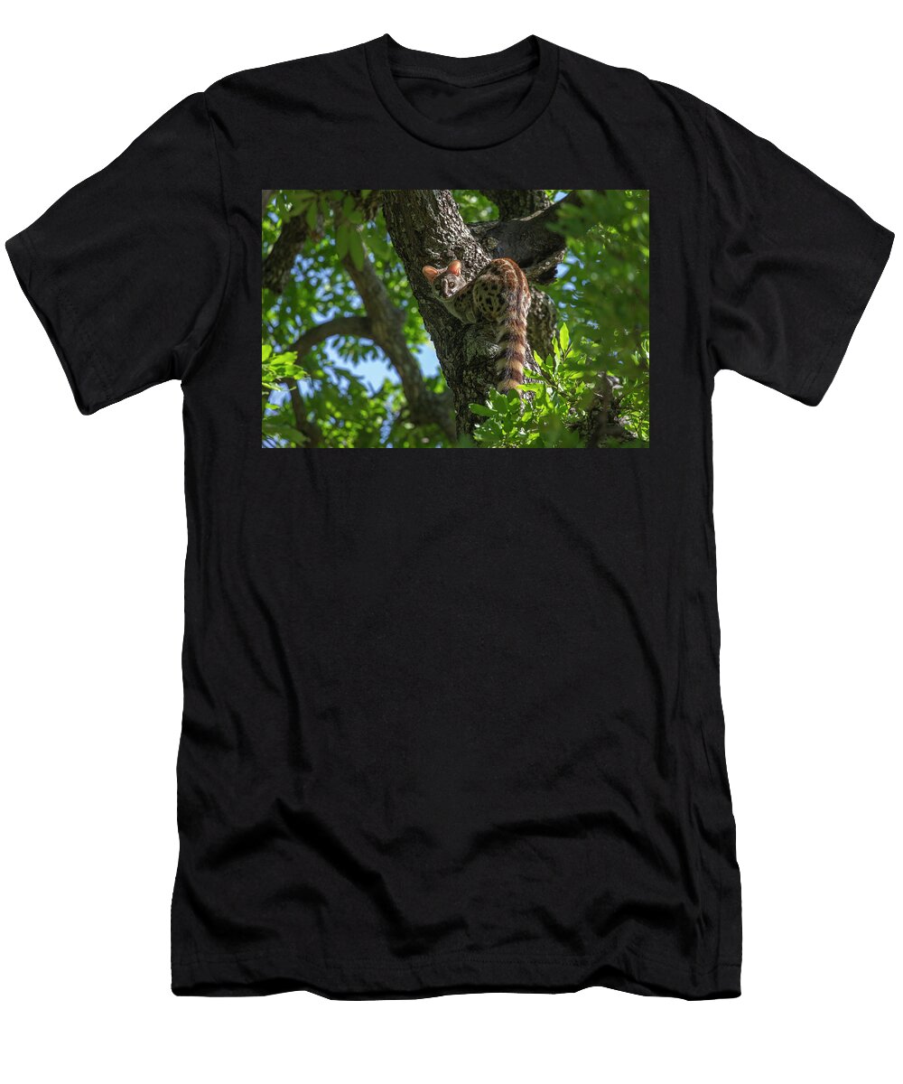 Large Spotted Genet Elephant Plains Sabi Sand Game Ann Steve Toon Natureplcom T-Shirt