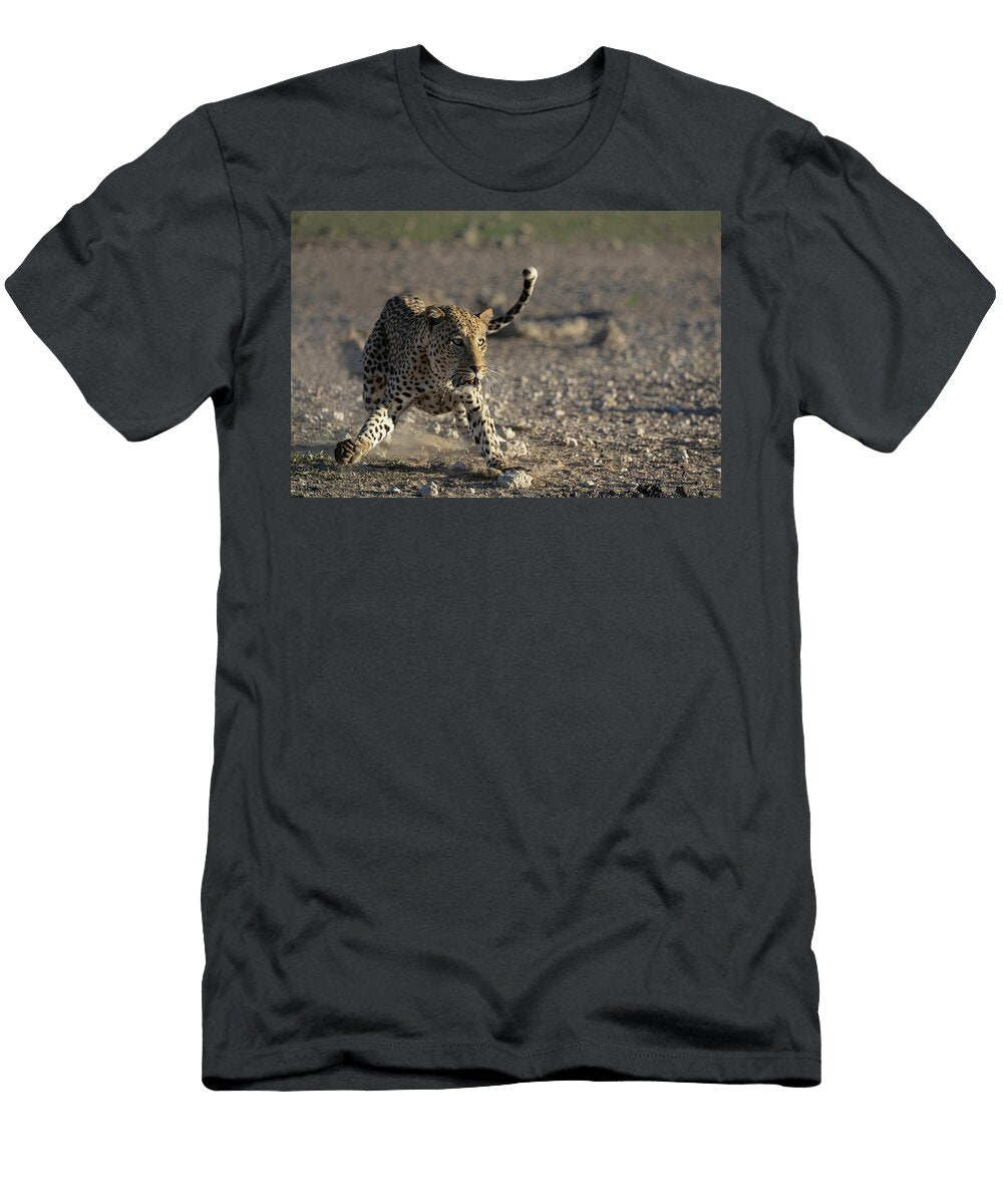 Leopard Charging Kgalagadi Transfrontier Park Northern Ann Steve Toon Natureplcom T-Shirt