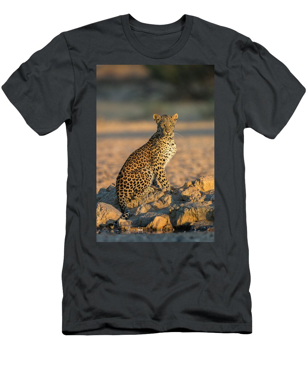 Leopard Female Kgalagadi Transfrontier Park South Ann Steve Toon Natureplcom T-Shirt