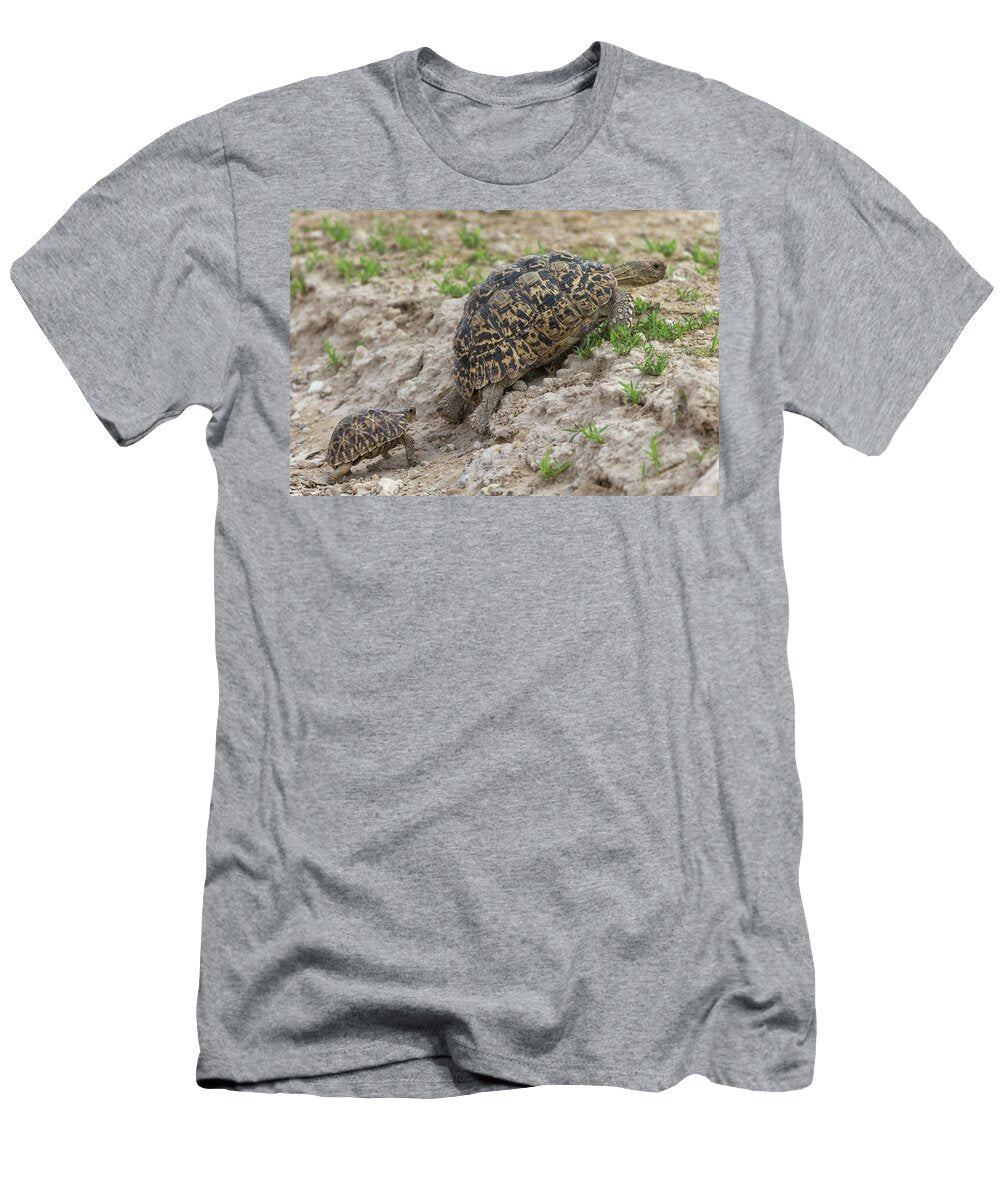 Leopard Mountain Tortoise Small Male Courting Large Ann Steve Toon Natureplcom T-Shirt