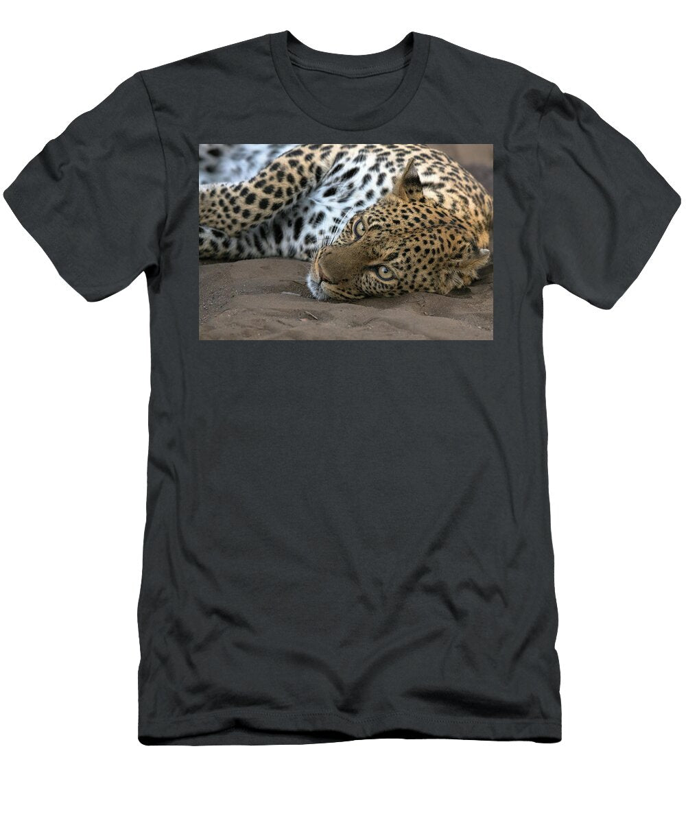 Leopard Resting Mashatu Game Reserve Ann Steve Toon Natureplcom T-Shirt
