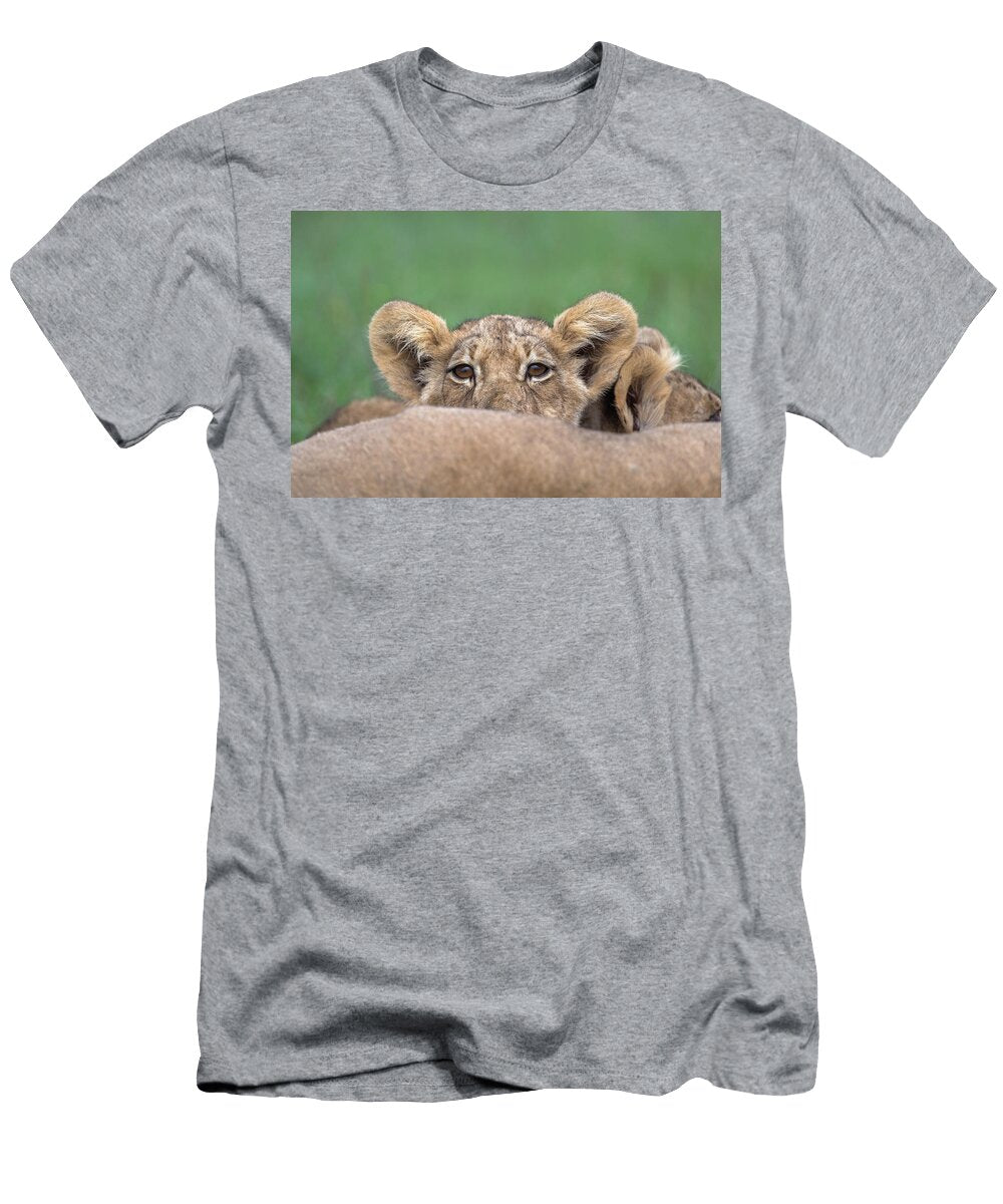 Lion Cub Head Portrait Kgalagadi Transfrontier Park Ann Steve Toon Natureplcom T-Shirt