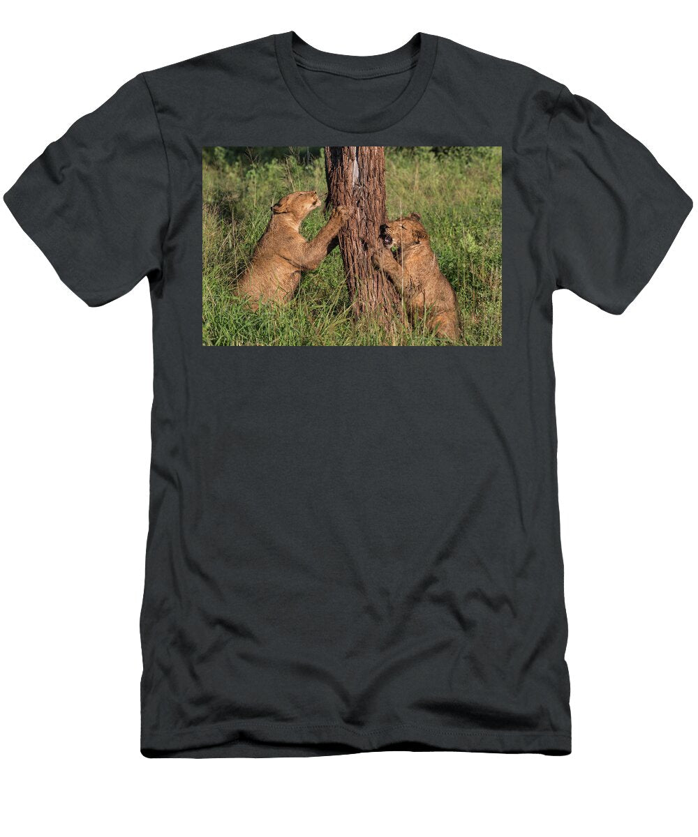 Lion Cubs Chewing Bark Zimanga Private Game Reserve Ann Steve Toon Natureplcom T-Shirt