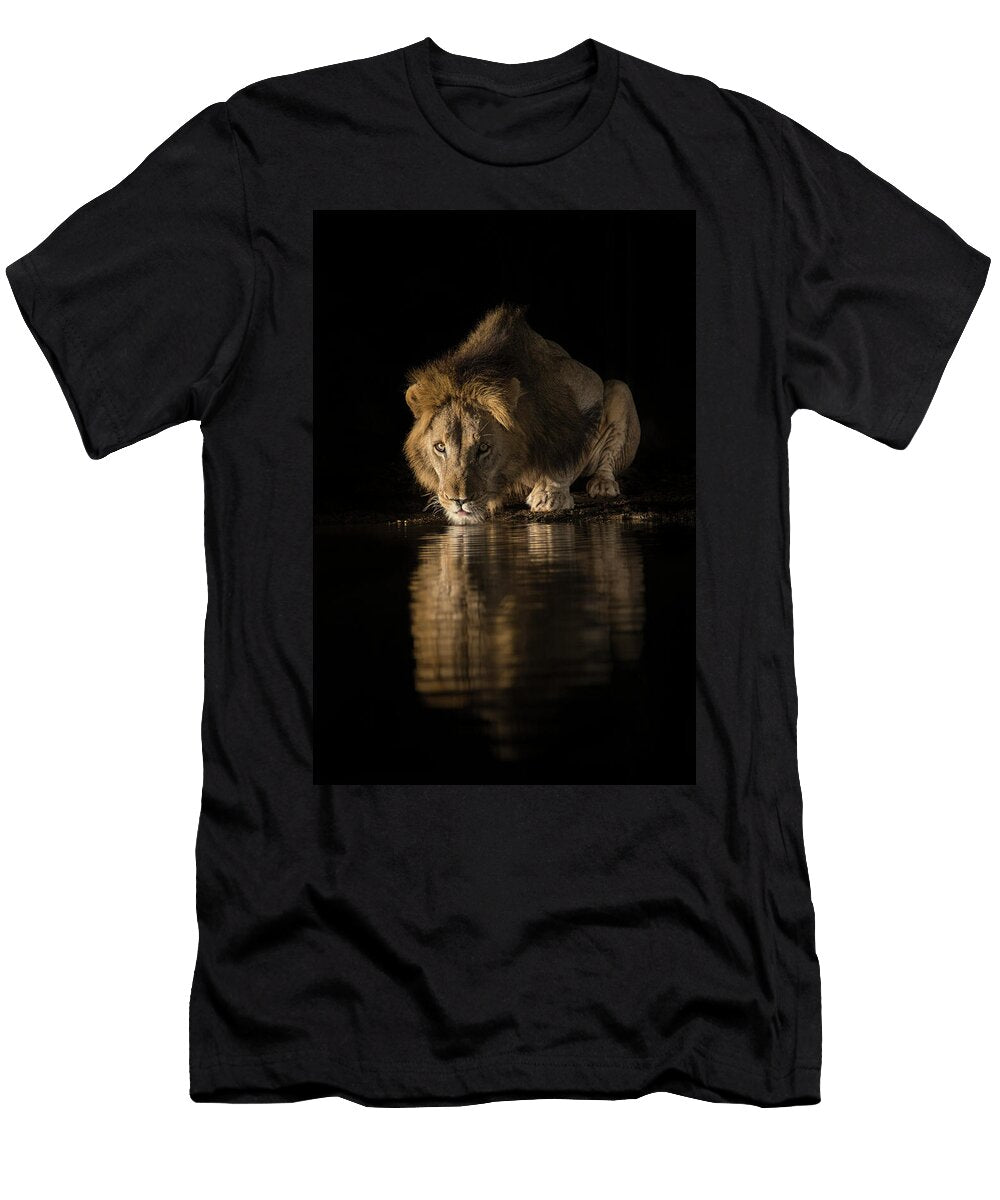 Lion Drinking At Night Zimanga Private Game Reserve Ann Steve Toon Natureplcom T-Shirt