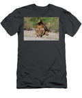 Lion Drinking From Puddle After Rain Kgalagadi Ann Steve Toon Natureplcom T-Shirt