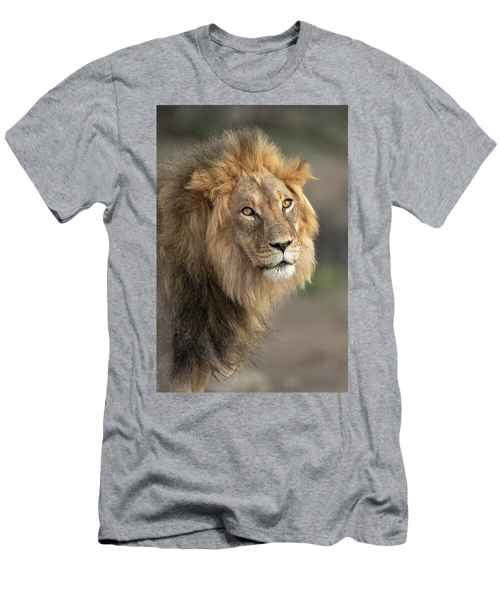 Lion Head Portrait Kgalagadi Transfrontier Park Northern Ann Steve Toon Natureplcom T-Shirt