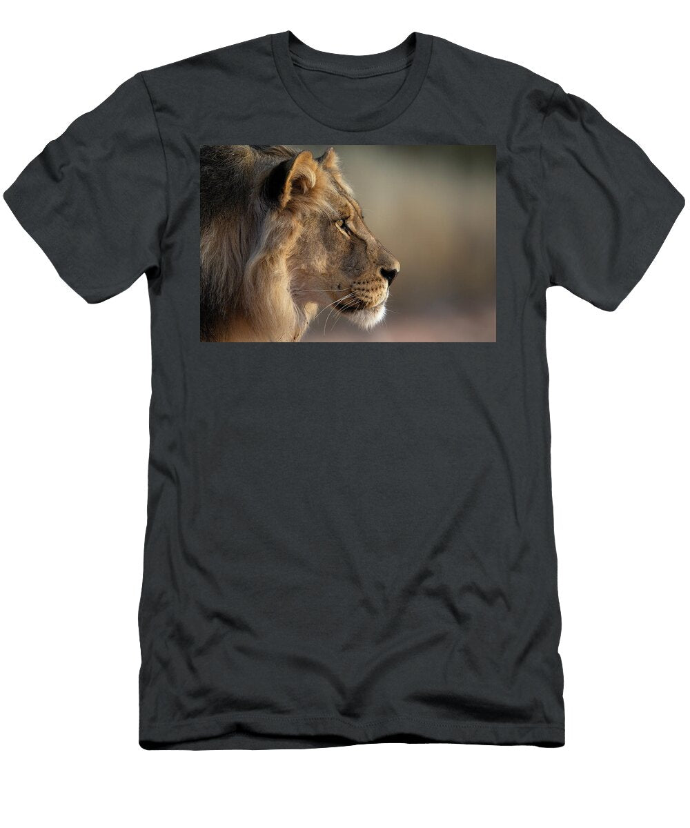 Lion Male Head Portrait Kgalagadi Transfrontier Park Ann Steve Toon Natureplcom T-Shirt