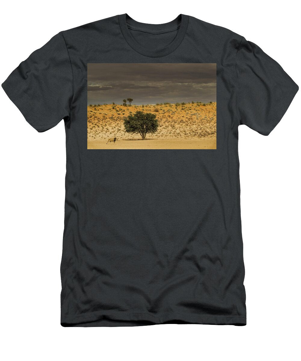 Lion Male in Habitat Kgalagadi Transfrontier Park South Ann Steve Toon Natureplcom T-Shirt