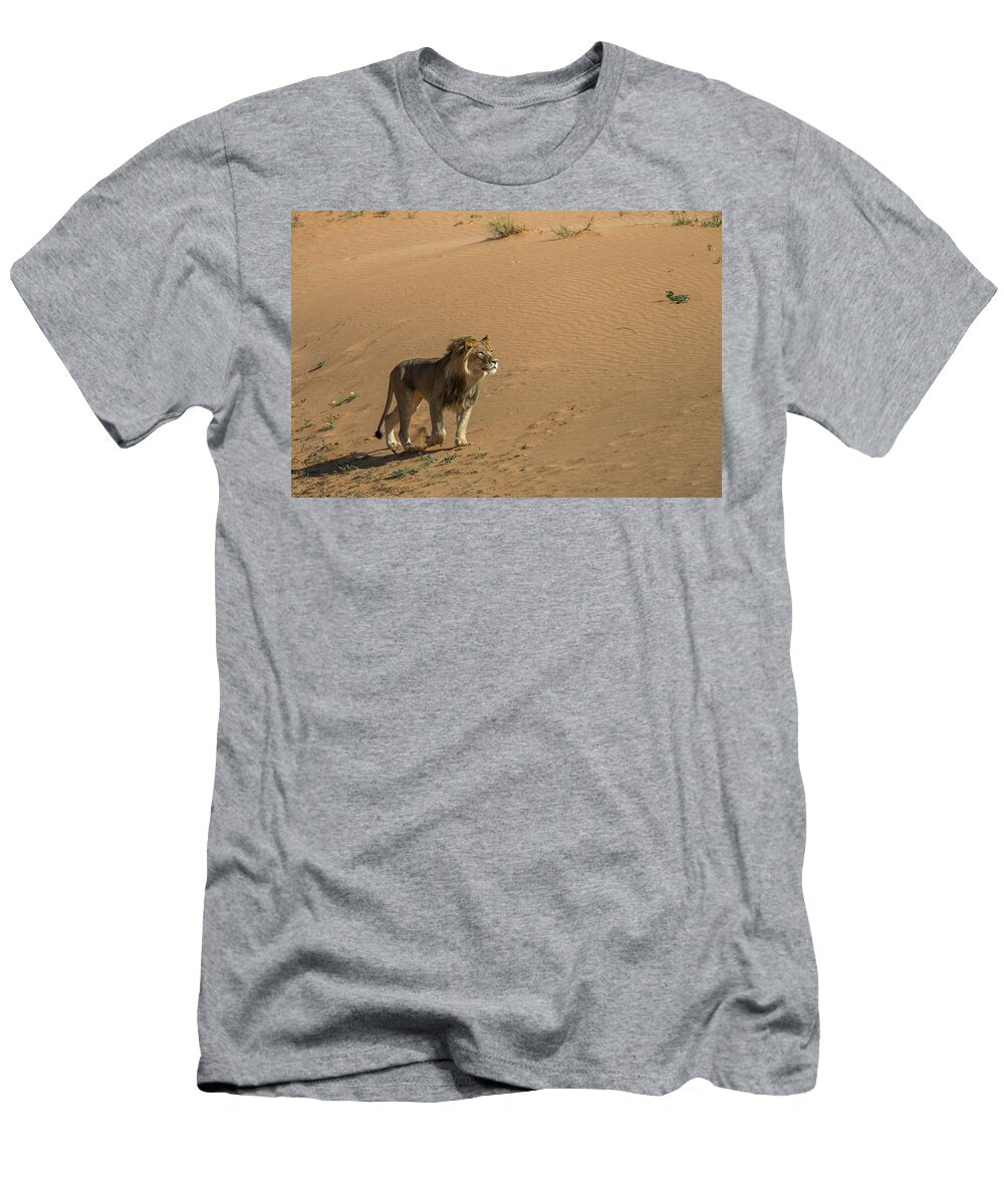 Lion Male on Desert Sand Dune Kgalagadi Transfrontier Ann Steve Toon Natureplcom T-Shirt