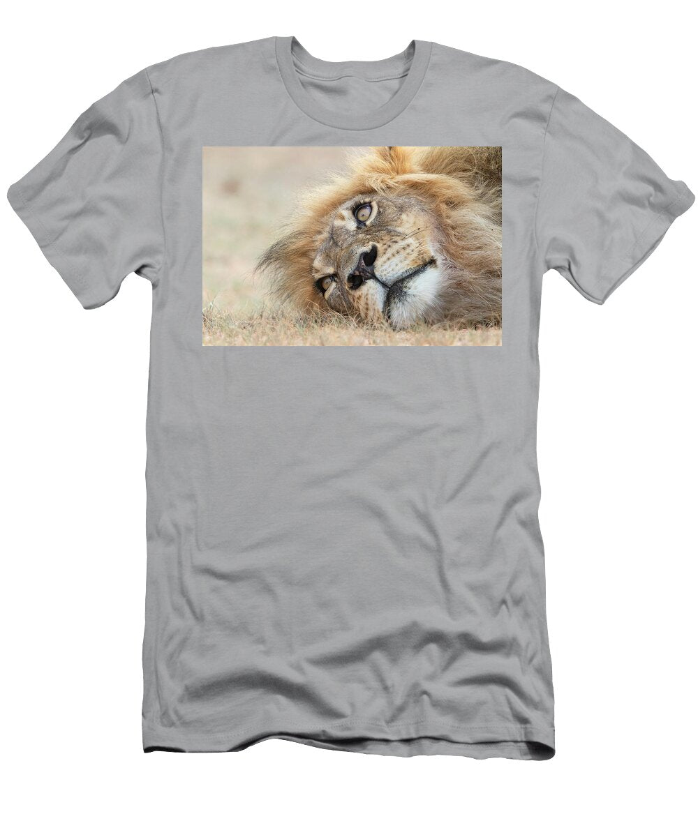 Lion Male Resting Head Portrait Kgalagadi Transfrontier Ann Steve Toon Natureplcom T-Shirt