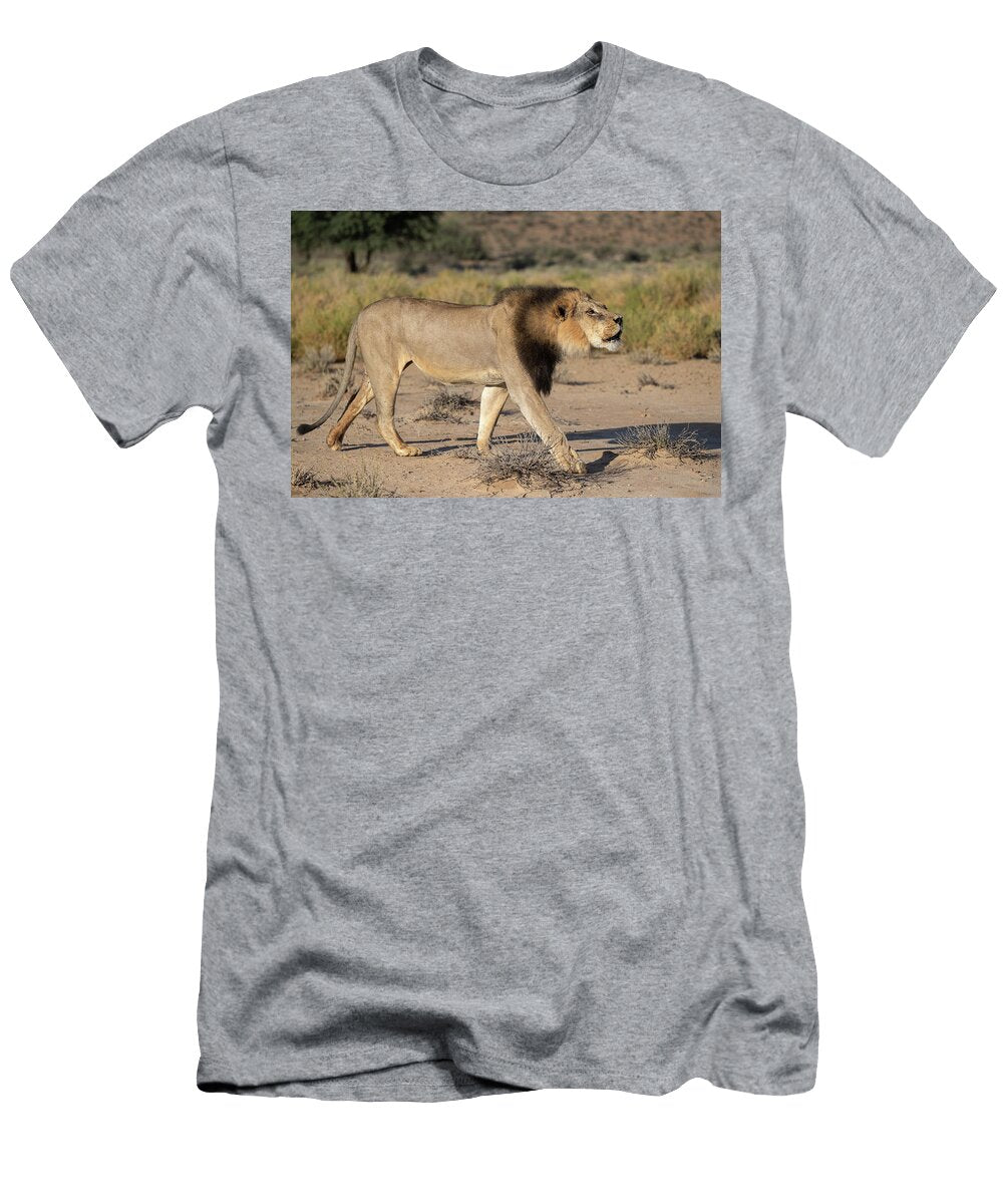 Lion Male with Dark Mane Contact Calling Kgalagadi Ann Steve Toon Natureplcom T-Shirt