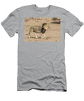 Lion Male with Dark Mane Kgalagadi Transfrontier Park Ann Steve Toon Natureplcom T-Shirt