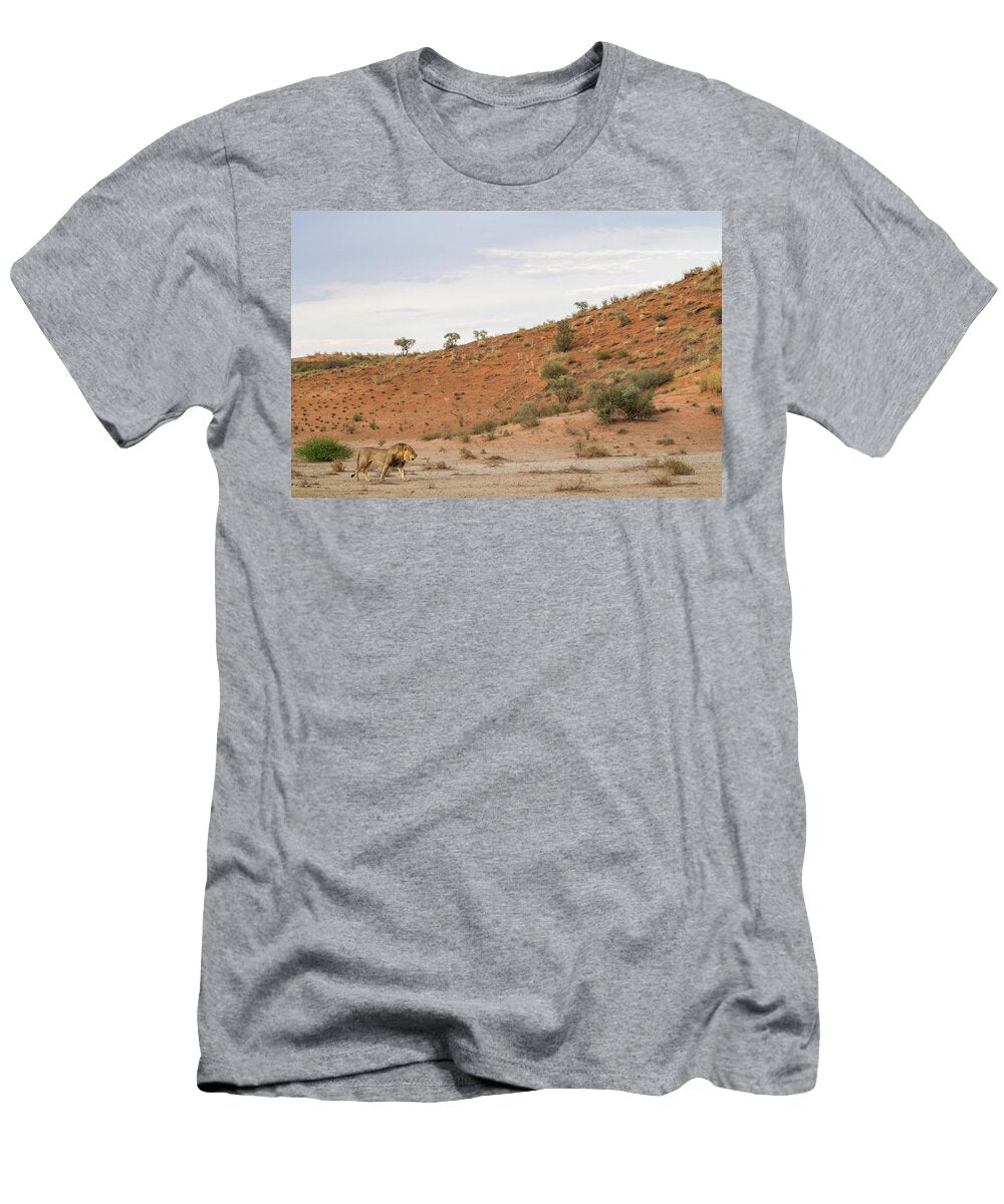 Lion Walking in Landscape Kgalagadi Transfrontier Park Ann Steve Toon Natureplcom T-Shirt