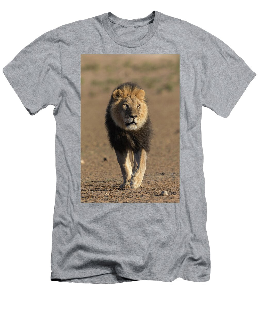 Lion with Dark Mane Kgalagadi Transfrontier Park South Ann Steve Toon Natureplcom T-Shirt