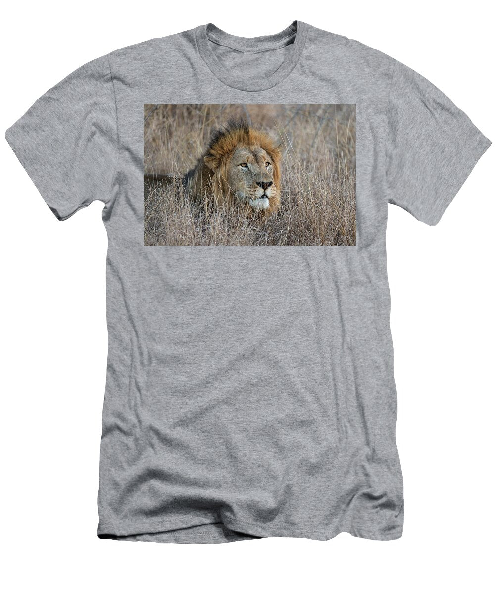 Lion Zimanga Private Game Reserve Kwazulu Natal South Ann Steve Toon Natureplcom T-Shirt