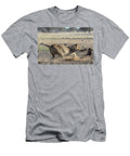 Lioness Hunting Wildebeest Juvenile Kgalagadi Ann Steve Toon Natureplcom T-Shirt