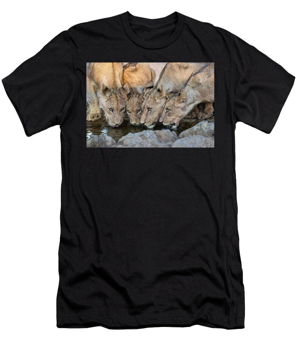 Lionesses Drinking Kgalagadi Transfrontier Park South Ann Steve Toon Natureplcom T-Shirt
