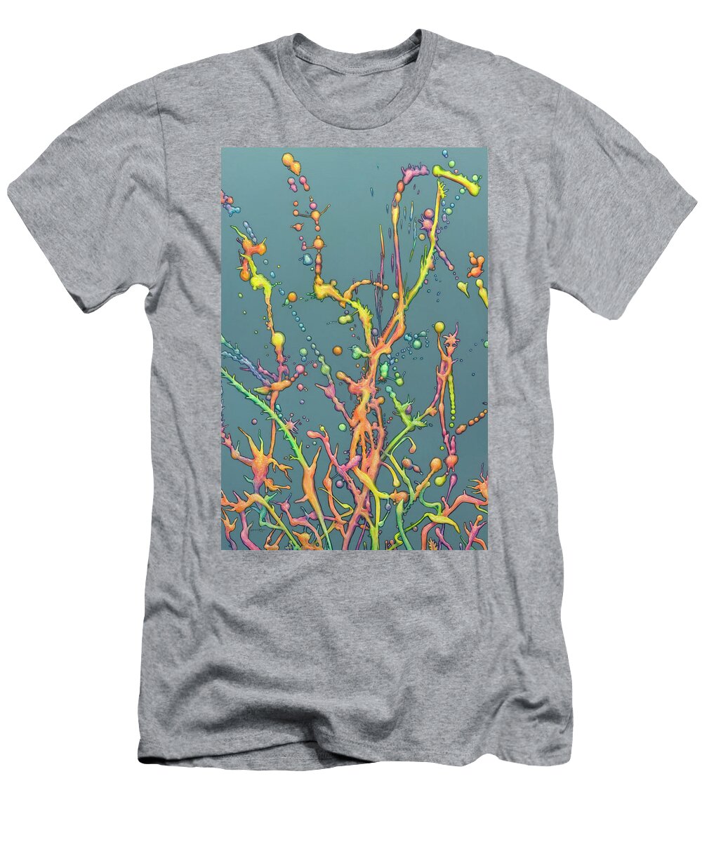 Liquid Rainbow James W Johnson T-Shirt