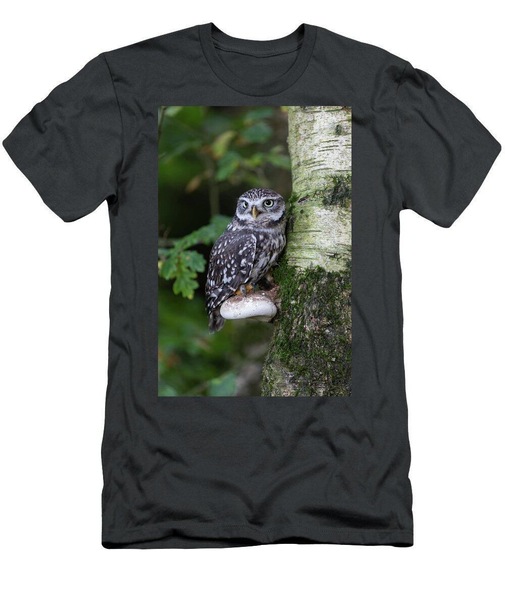 Little Owl Perched on Birch Bracket Fungus Cumbria UK Ann Steve Toon Natureplcom T-Shirt