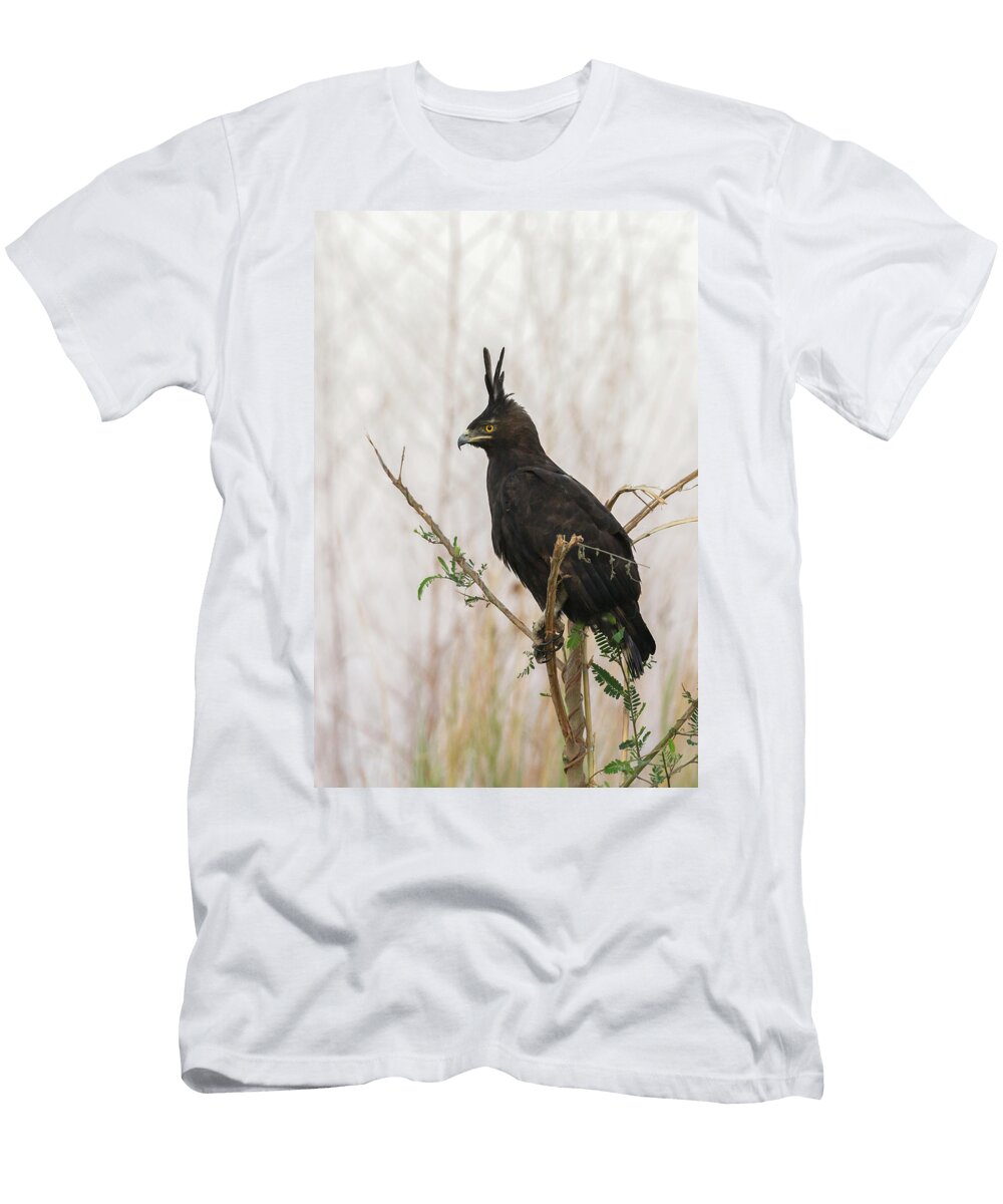Long Crested Eagle Chobe River Ann Steve Toon Natureplcom T-Shirt