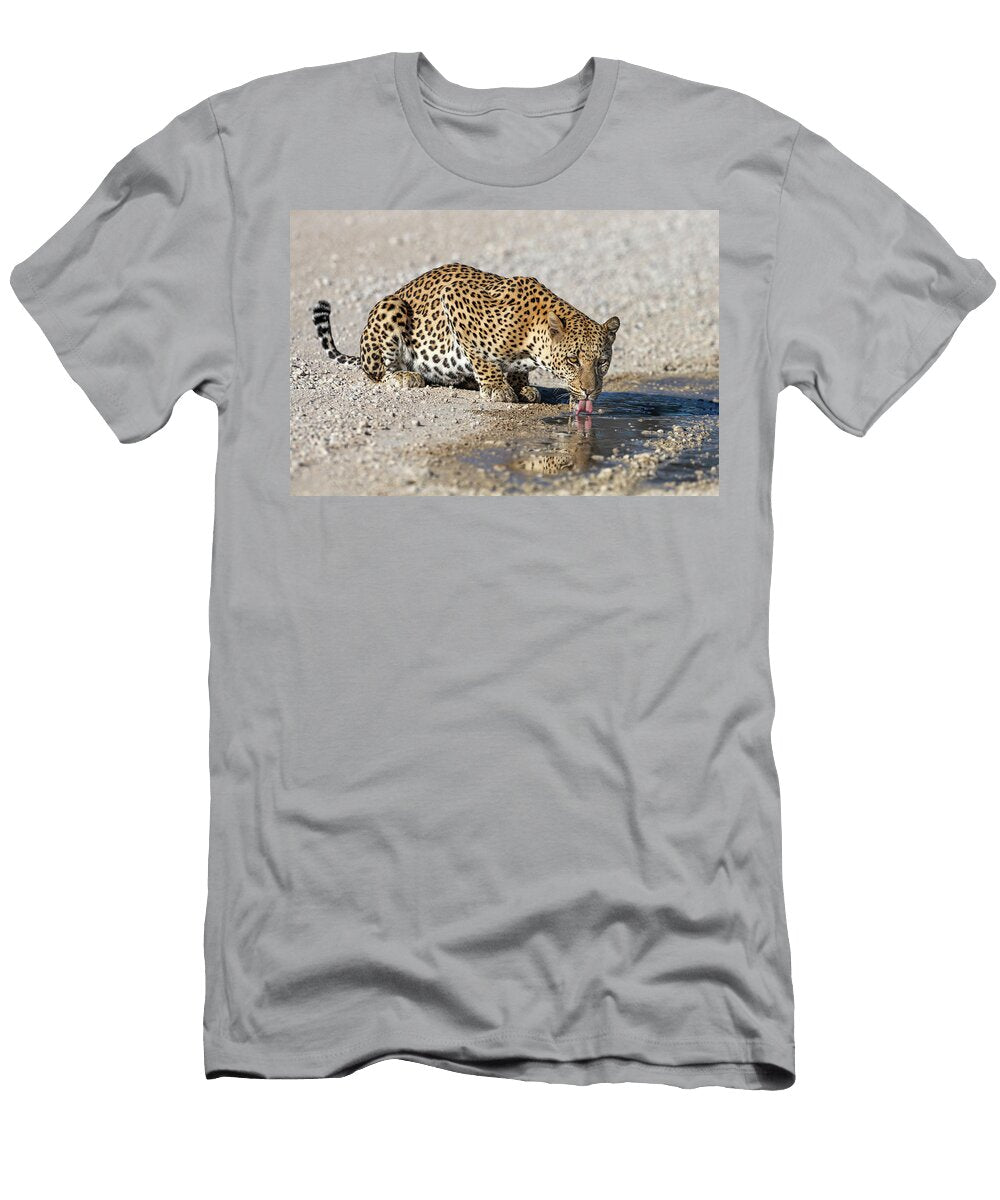 Male Leopard Drinking From Puddle After Rain Kgalagadi Ann Steve Toon Natureplcom T-Shirt
