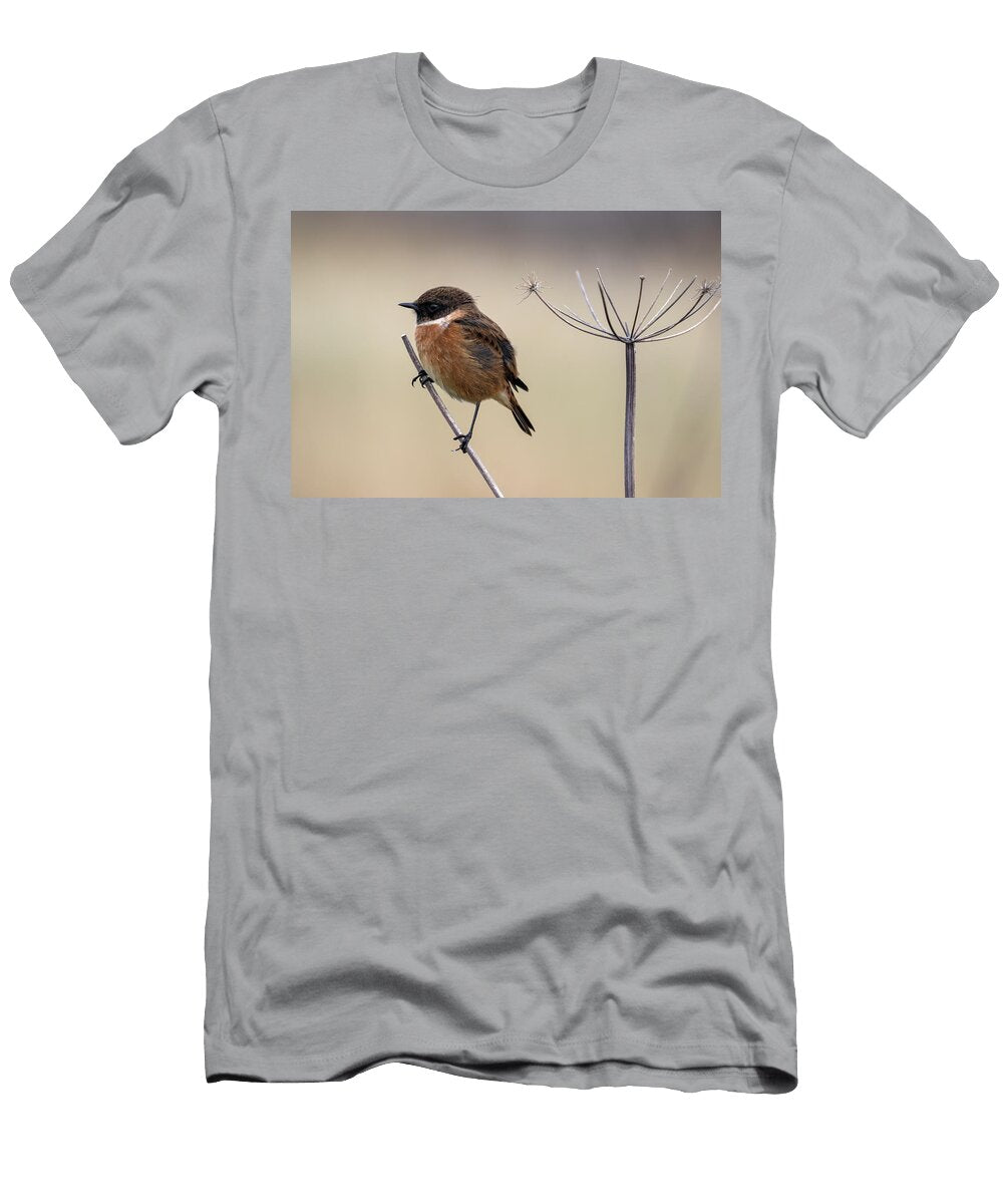 Male Stonechat Perched on a Plant Stem Northumberland UK Ann Steve Toon Natureplcom T-Shirt