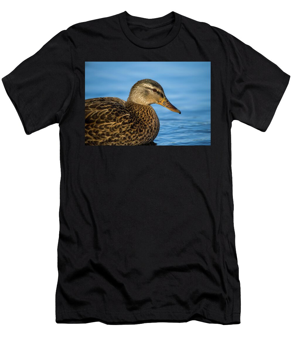 Mallard Female Duck Lenin Ramachandran T-Shirt