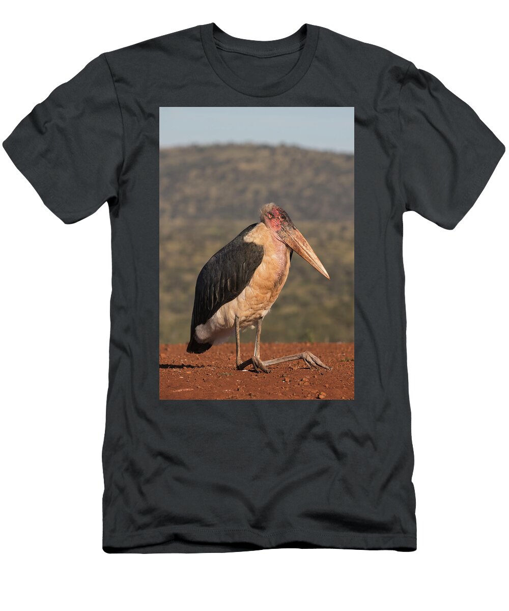 Marabou Sitting Zimanga Private Game Reserve Ann Steve Toon Natureplcom T-Shirt