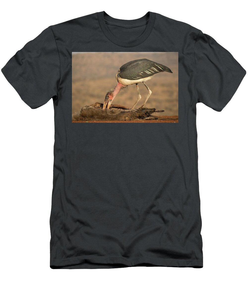 Marabou Stork Scavenging Zimanga Private Game Reserve Ann Steve Toon Natureplcom T-Shirt